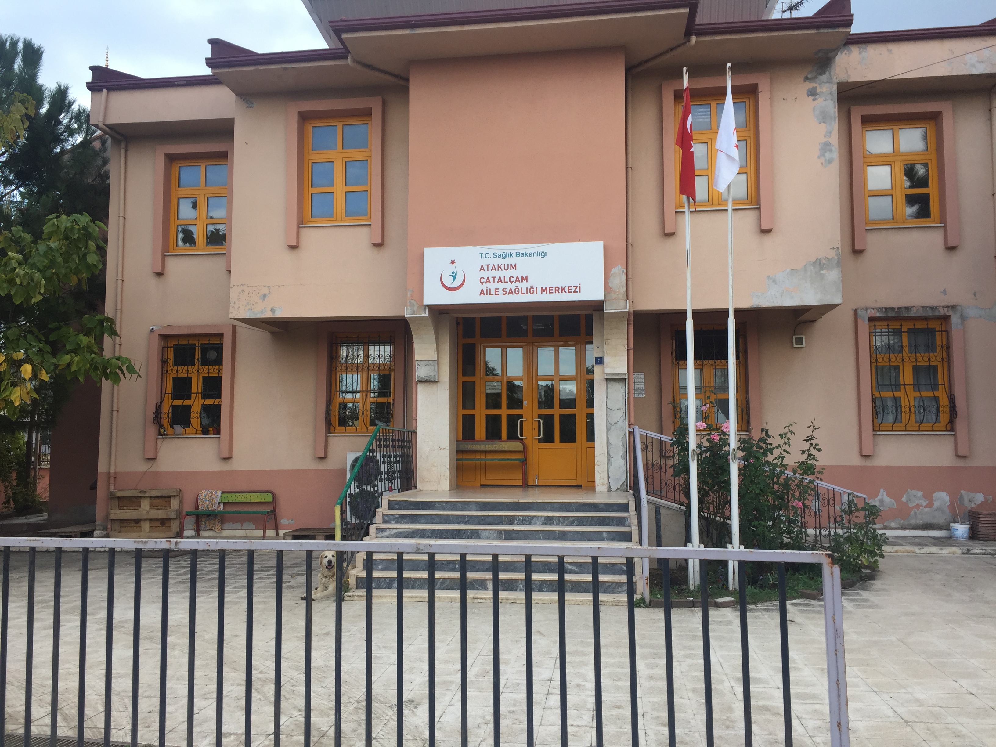  Kanser Taraması 